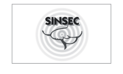 sinsec